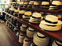 How to buy a Panama hat