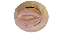 The Rose Traveller