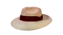 The Rose Traveller