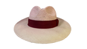 The Rose Traveller