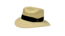 The Fino Traveller