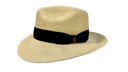 The Fino Traveller