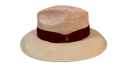 The Rose Traveller